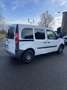 Renault Kangoo Kangoo 1.5 dCi 75 eco2 Access Euro 5 Blanc - thumbnail 3