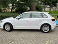 Audi A3 A3 1.4 TFSI g-tron Sportback Blanc - thumbnail 11