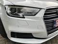 Audi A3 A3 1.4 TFSI g-tron Sportback Blanc - thumbnail 29