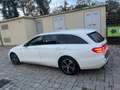Mercedes-Benz E 220 E SW 220 d Premium Plus 4matic auto Weiß - thumbnail 10