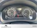 Skoda Rapid Spaceback 1.0 TSI Ambition Klima Pano SHZ Bl Rouge - thumbnail 14