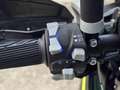 Benelli TRK 702 Export Video 360 Vert - thumbnail 11
