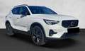 Volvo XC40 B3 automatico Plus Dark Bianco - thumbnail 5