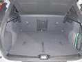 Volvo EX40 Extended Range Plus Black Edition Grau - thumbnail 10