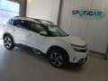 Citroen C5 Aircross C5 Aircross PureTech 130 S&S EAT8 Shine Blanc - thumbnail 22