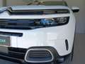 Citroen C5 Aircross C5 Aircross PureTech 130 S&S EAT8 Shine Bianco - thumbnail 8