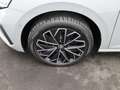 Skoda Scala Selection 1.5 TSI DSG/Matrix, ACC, RFK,AHK Grau - thumbnail 17