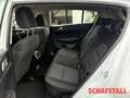 Kia Sportage 1.6 T-GDI DCT Vision Komfort-Paket Navi Tempomat K Bianco - thumbnail 15