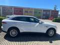 Jaguar F-Pace F-Pace 20d AWD Prestige Aut. Prestige Weiß - thumbnail 1