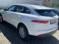 Jaguar F-Pace F-Pace 20d AWD Prestige Aut. Prestige Weiß - thumbnail 6