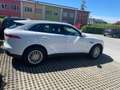 Jaguar F-Pace F-Pace 20d AWD Prestige Aut. Prestige Weiß - thumbnail 2