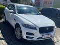 Jaguar F-Pace F-Pace 20d AWD Prestige Aut. Prestige Weiß - thumbnail 3