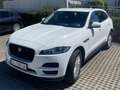 Jaguar F-Pace F-Pace 20d AWD Prestige Aut. Prestige Weiß - thumbnail 4