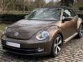 Volkswagen Beetle The Beetle Cabriolet 1.4 TSI DSG Exclusive Design Brun - thumbnail 27