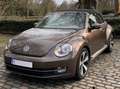 Volkswagen Beetle The Beetle Cabriolet 1.4 TSI DSG Exclusive Design Bruin - thumbnail 28