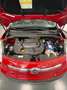 Fiat 500L 500L  1.3 mjt BUSINESS  85cv Rosso - thumbnail 12