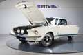 Shelby GT GT500 427 Side Oiler V8 | 4-Speed Weiß - thumbnail 2