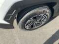 Hyundai TUCSON NX4 Jubile 1,6 T-GDi HEV 4WD AT Weiß - thumbnail 9