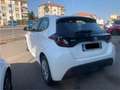 Toyota Yaris Yaris Hybrid 1.5 Active Automatica NEOPATENTATI Blanco - thumbnail 6