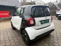 smart forTwo Smart fortwo Weiß - thumbnail 6