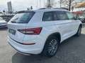 Skoda Kodiaq Laurin & Klement 2.0 TDI DSG ACC LED APP Weiß - thumbnail 5