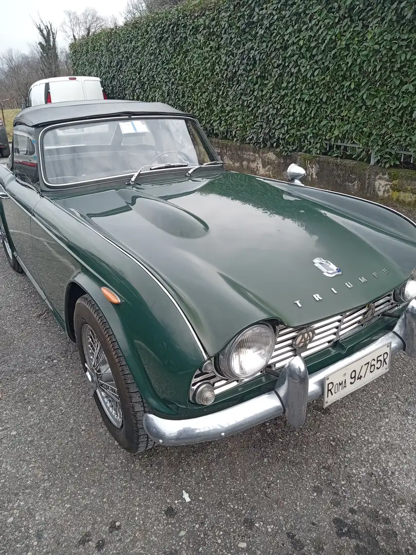 Triumph TR4 iscritto asi oro  serie limitata ducati Zelená - 1