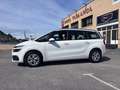 Citroen C4 Spacetourer 1.5BlueHDI S&S Origins 130 Blanco - thumbnail 15