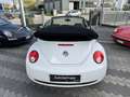 Volkswagen New Beetle 1.9 TDI 105CV Cabrio Blanco - thumbnail 5