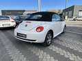 Volkswagen New Beetle 1.9 TDI 105CV Cabrio Wit - thumbnail 10