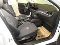 Ford Focus 1.5 EcoBlue Active X Kombi Aut. Panorama Weiß - thumbnail 9