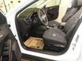 Ford Focus 1.5 EcoBlue Active X Kombi Aut. Panorama Weiß - thumbnail 7