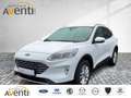 Ford Kuga Titanium X *ACC*AHK*Kamera*LED-Scheinw. Weiß - thumbnail 1