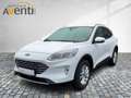 Ford Kuga Titanium X *ACC*AHK*Kamera*LED-Scheinw. Weiß - thumbnail 2