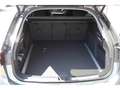 Audi A6 Avant 2026 TFSI Str. S-Line*Tech+*20''*Leder!! Gris - thumbnail 6