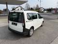 Volkswagen Caddy Edition Automatik Weiß - thumbnail 5