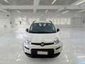 Fiat Panda 0.9 t.air t. natural power City Life 70cv - thumbnail 2