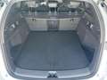 BYD Seal 6 DM-i TOURING Comfort/360°/HUD/SHZ/PANO-DA 135 k... Weiß - thumbnail 11
