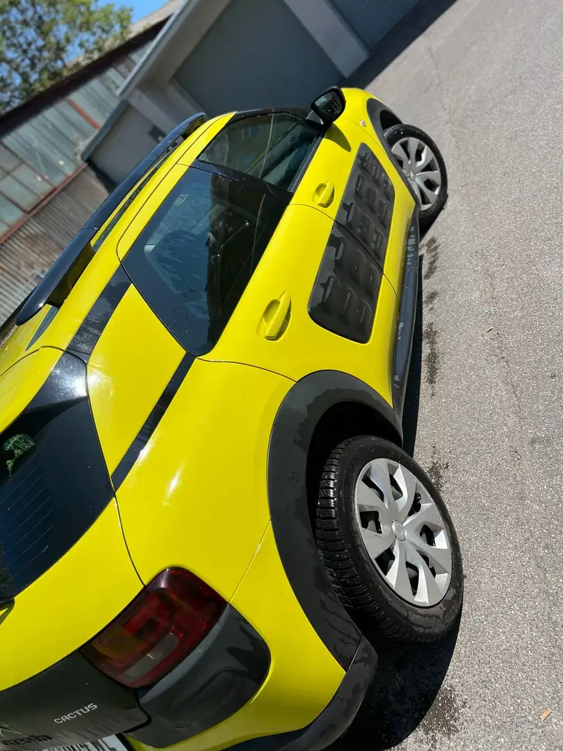 Citroen C4 Cactus BlueHDi 100 Stop&Start Live - 2