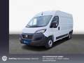 Fiat Ducato L2H2  Sofort lieferbar! Wit - thumbnail 1