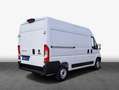 Fiat Ducato L2H2  Sofort lieferbar! Wit - thumbnail 2