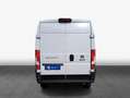 Fiat Ducato L2H2  Sofort lieferbar! Wit - thumbnail 5