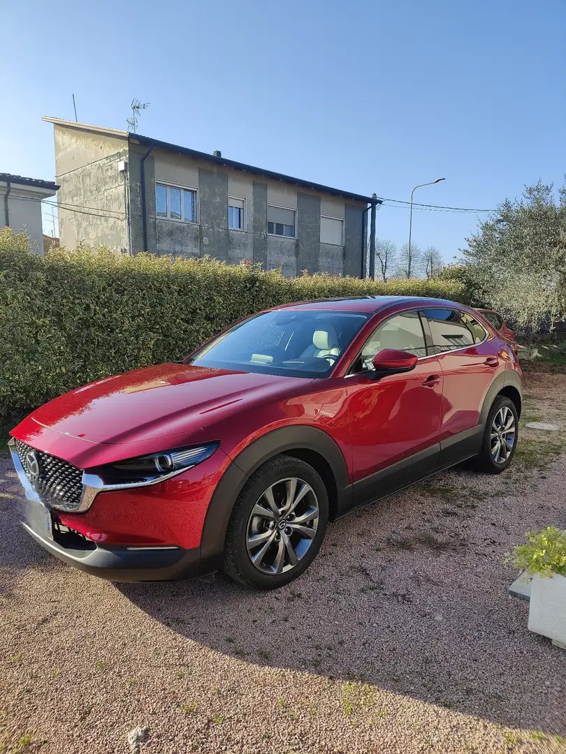 Mazda CX-30 2.0 m-hybrid Exclusive Leather Pack White 2wd 180c Rosso - 1