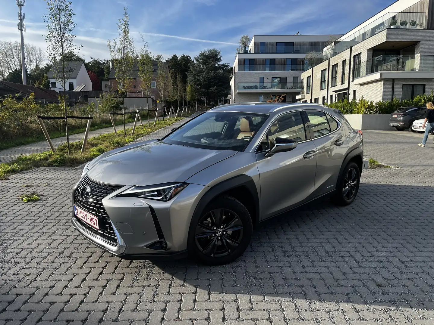 Lexus UX 250h Business Line - 1