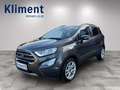 Ford EcoSport 1,0 EcoBoost Titanium Grau - thumbnail 1