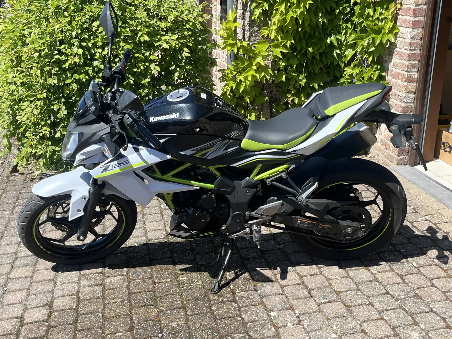 Kawasaki Z 125 - 1