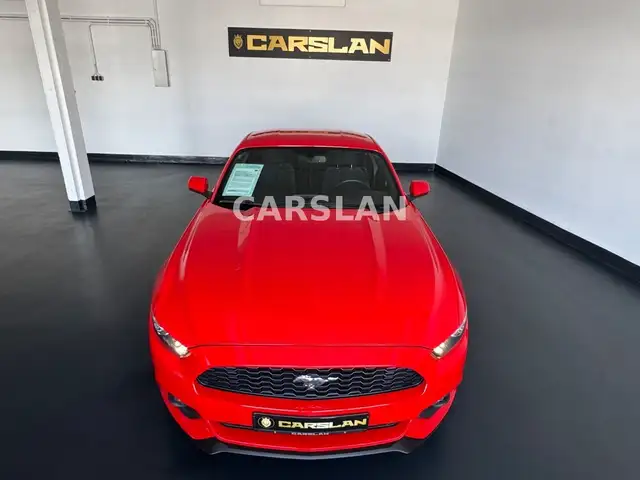Ford Mustang view 6