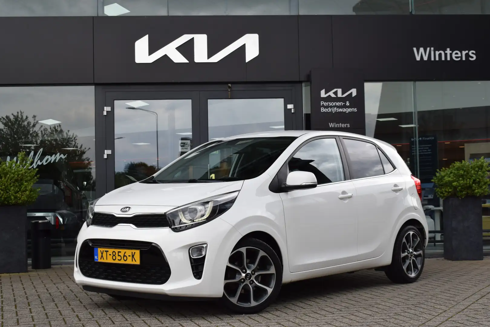 kia picanto