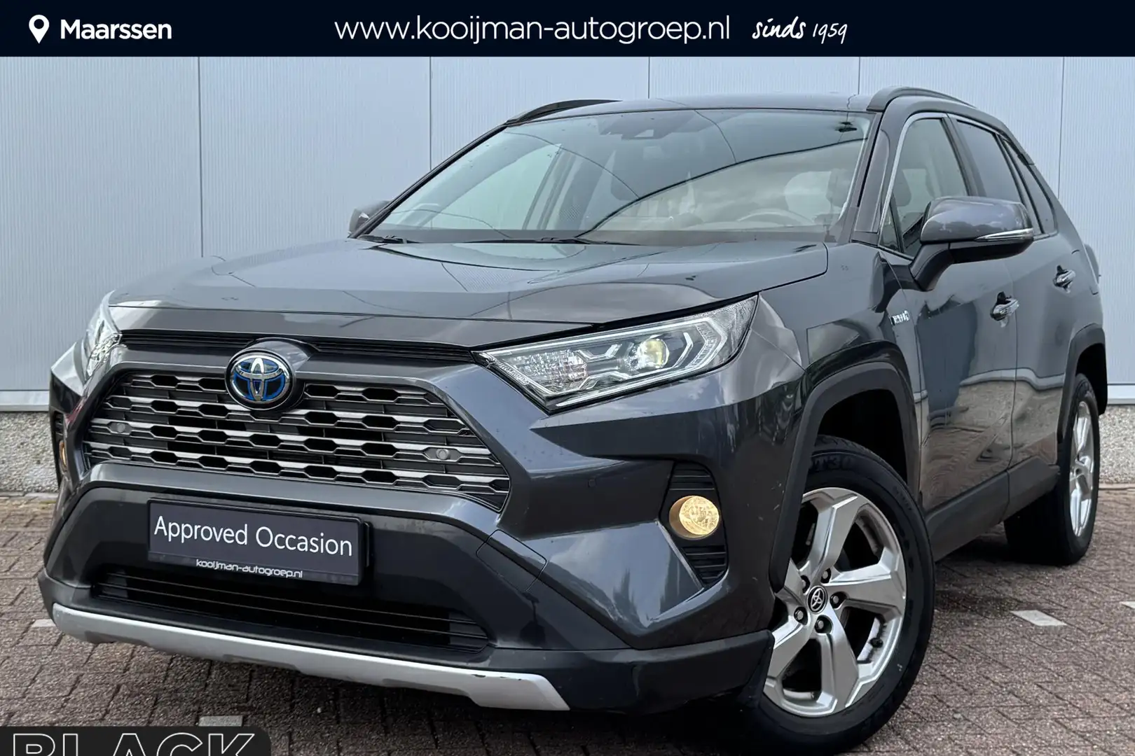 Toyota RAV 4 2.5 Hybrid AWD Executive Lederen bekleding, Dodeho Gris - 1