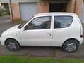 Fiat Seicento 50th anniversary Wit - thumbnail 4