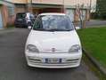Fiat Seicento 50th anniversary Wit - thumbnail 1